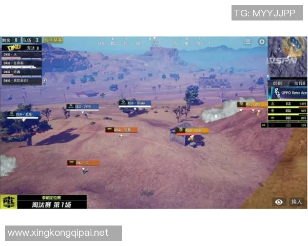 电竞实时数据分析与FPX在和平精英中的运营成败探讨 电竞实时数据分析与FPX在和平精英中的运营成败探讨