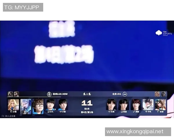 esports数据冠军杯特别报道JDG战队的拼搏历程与荣耀之路