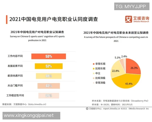 esports数据黄秀英畅谈王者荣耀发展历程与个人成长的精彩故事